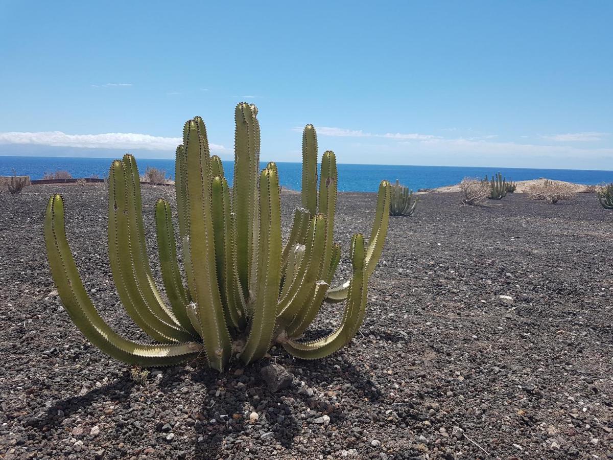 Tenerife Lizards - Duplex In The First Line Callao Salvaje Dış mekan fotoğraf